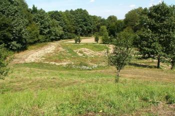 Pohled z jádra tvrziště směrem k soutoků dvou potoků ( © Miroslav BITTER 08/2007)