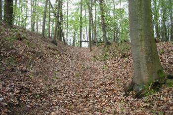 příkop na záp. straně (© D Dohňanský, 05/2015)