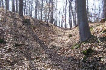 Pohled do příkopu kolem jádra hrádku (© Jan P. Štěpánek 04/2006)