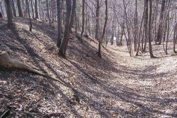 pohled do příkopu chránícího jádro hrádku (© Jan P. Štěpánek 04/2006)