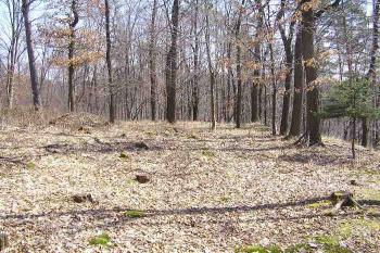 Pohled od zpadu na jižní stranu jádra hrádku (© Jan P. Štěpánek 04/2006)