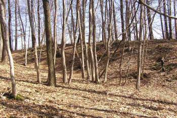 Pohled od západu přes příkop na jihozápadní část jádra hrádku (© Jan P. Štěpánek 04/2006)