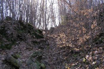 pohled ze severovýchodního nároží do příkopu na východní straně lokality ( © Jan P. Štěpánek 01/2008)