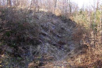 pohled od severovýchodního nároží lokality do příkopu na severní straně hrádku ( © Jan P. Štěpánek 01/2008)
