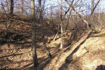 pohled od jihu na východní příkop ( © Jan P. Štěpánek 01/2008)