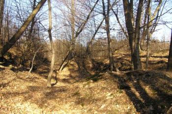 pohled od jihu východním příkopem k severu ( © Jan P. Štěpánek 01/2008)
