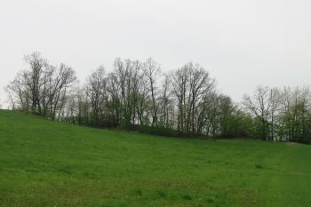 pohled na místo tvrze od severu (© D Dohňanský, 05/2015)