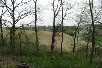 pohled z jádra tvrze na jih (© D Dohňanský, 05/2015)
