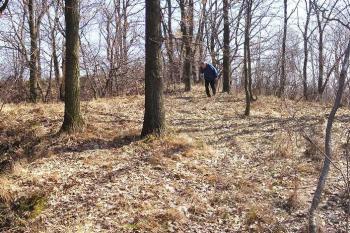 Panorama plochy jádra tvrze od západu (© Jan P. Štěpánek 2006)