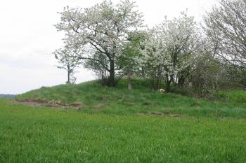nedaleko tvrze se nachzí i toto tvrziště-tzv.Holandský mlýn (© D Dohňanský, 05/2015)