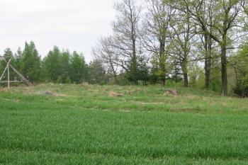 pohled od jihu (© D Dohňanský, 05/2015)