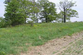 POhled od západu na místo bítovské tvrze (© Jan P. Štěpánek 06/2006)