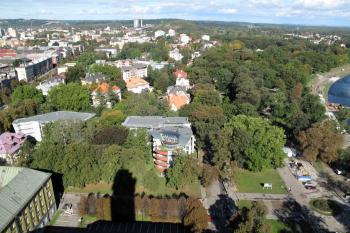 výhled z radniční věže k severu na Komenského sady a haldu bývalého dolu František (© Jan P. Štěpánek  08/2012)
