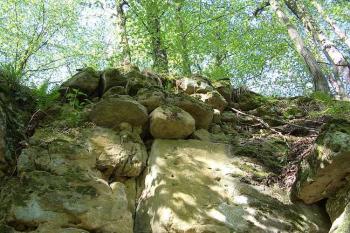 Vřísek (© Jan Laurýn, 2006)