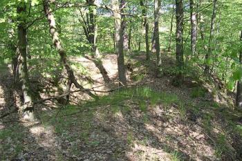 Vřísek (© Jan Laurýn, 2006)