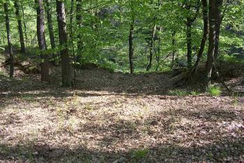 Vřísek (© Jan Laurýn, 2006)