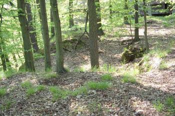 Vřísek (© Jan Laurýn, 2006)