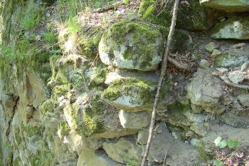 Vřísek (© Jan Laurýn, 2006)