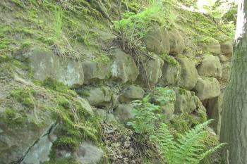 Vřísek (© Jan Laurýn, 2006)