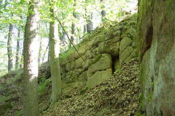 Vřísek (© Jan Laurýn, 2006)