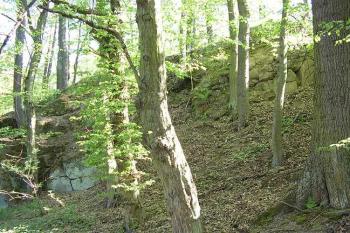 Vřísek (© Jan Laurýn, 2006)