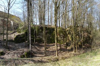 Hradní suk ( © Jiří Čížek 04/2010)