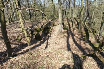  ( © Jiří Čížek 04/2010)