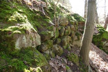 zbytky zdiva ( © Jiří Čížek 04/2010)