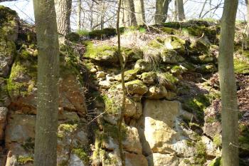 zbytky zdiva ( © Jiří Čížek 04/2010)