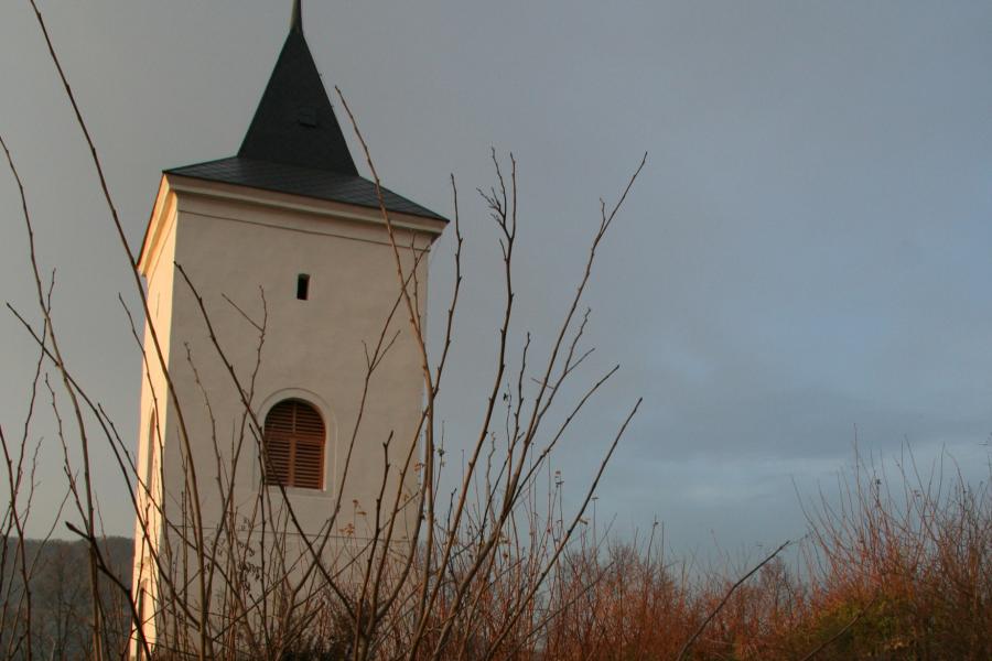 Levín