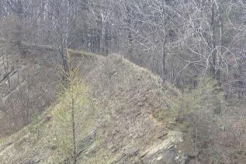 pohled na odtěženou plochu hradiska z protějšího kopce ( © Ondřej Štěpánek 04/2007)