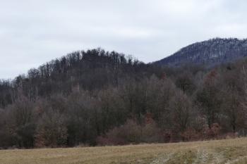  (© Yarda Domin  02/2026)