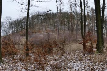  (© Yarda Domin  02/2026)