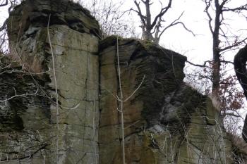  (© Yarda Domin  02/2026)