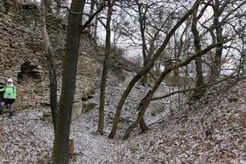  (© Yarda Domin  02/2026)