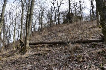  (© Yarda Domin  02/2026)