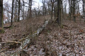  (© Yarda Domin  02/2026)