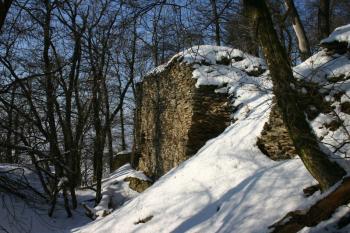  (© Zdeněk Kučera, 01/2009)