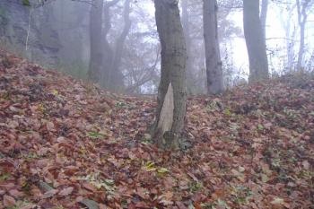 Úvozová cesta točící se kolem hradu (© Miroslav Šamal, 10/2008)