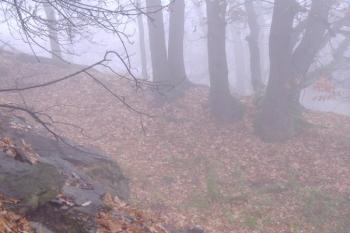 Příkop hradu (© Miroslav Šamal, 10/2008)