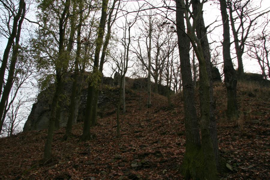 Litýš