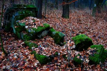 Zámek v Horních Lubech  (© ivan chudoba, 11/2012)