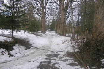 Zámek v Horních Lubech (© ivan chudoba 03/2006)