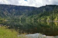 Plešné jezero