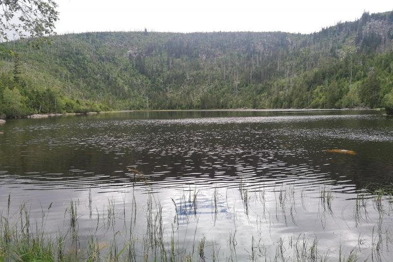 Plešné jezero Plešné jezero