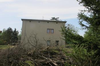 sv.strana zámku (© D Dohňanský, 05/2018)