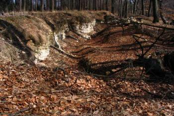 Zbytky valů hradiště (© Ivana Poláková 04/2006)