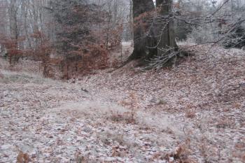  (© Zdeněk Susa, 01/2009)