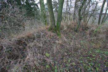 Pozůstatek budovy ve východní části jádra ( © Filip Matoušek 11/2005)