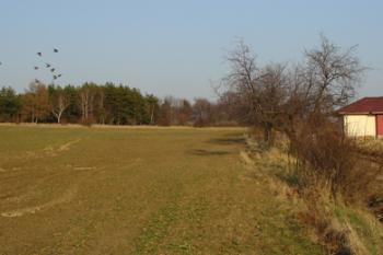 Pohled na Klepec I. od Přišimas ( © Jiří Čížek 04/2006)
